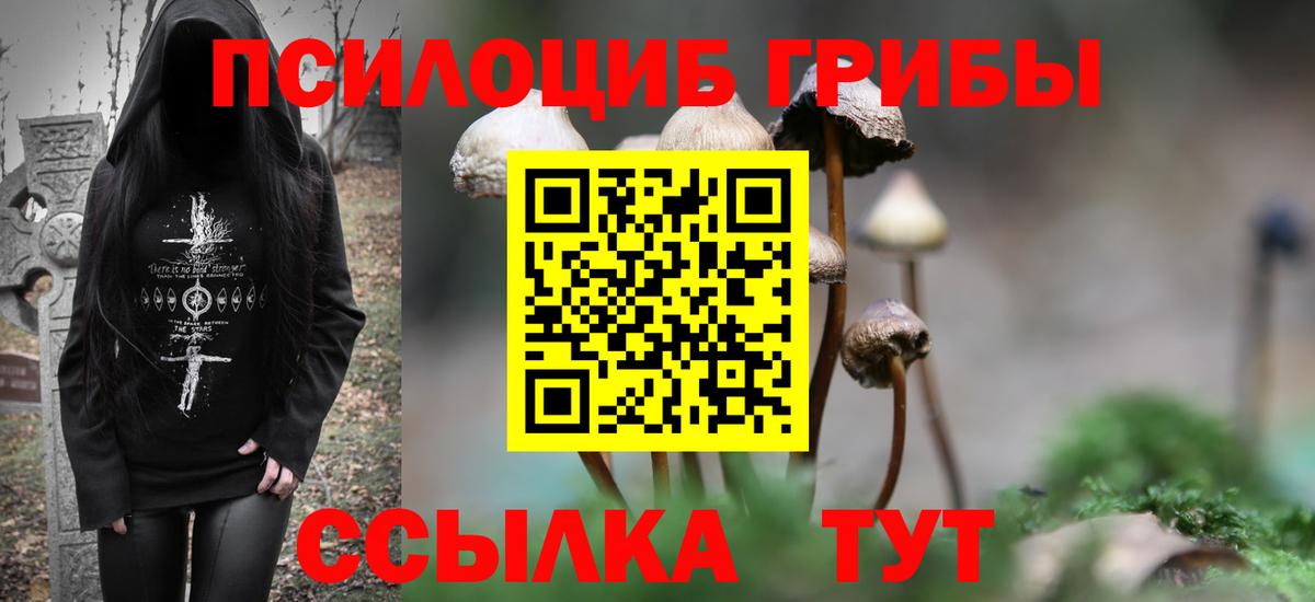 что такое   Галлюциногенные грибы прущие грибы  Вход с VPN  Кызыл 